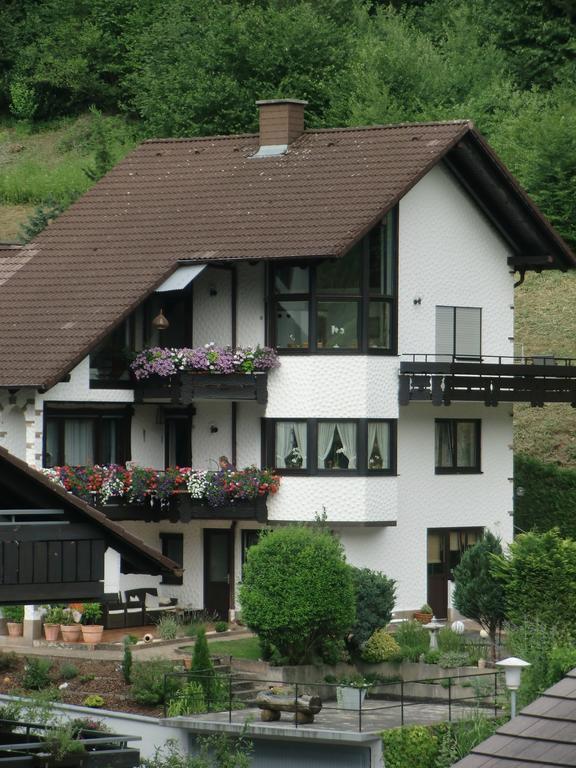 Ferienwohnung Uli Schaetzle Hornberg Kültér fotó