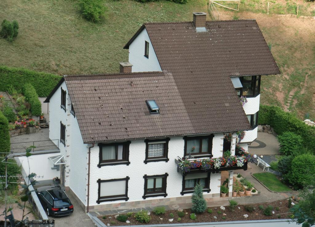 Ferienwohnung Uli Schaetzle Hornberg Kültér fotó
