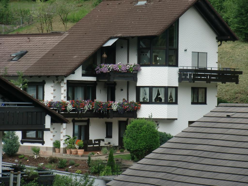 Ferienwohnung Uli Schaetzle Hornberg Kültér fotó